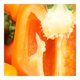 thumbnail image 3 of Pimiento Naranja Vendido por Kilo, 3 of 4