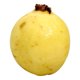 thumbnail image 2 of Guayaba por kilo, 2 of 4