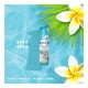 thumbnail image 3 of Aromatizante Febreze Air bora bora waters en aerosol 250 g, 3 of 4