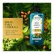 thumbnail image 2 of Shampoo Herbal Essences Bio:renew Argan oil of morocco 400 ml, 2 of 4