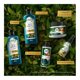 thumbnail image 4 of Acondicionador Herbal Essences Bio:Renew Argan oil of morocco 400 ml, 4 of 4