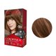 thumbnail image 2 of Tinte para cabello Revlon Beautiful Color 43 castaño medio dorado, 2 of 4