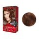thumbnail image 2 of Tinte para cabello Revlon Beautiful Color 46 castaño cobrizo dorado, 2 of 3