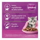 thumbnail image 4 of Alimento para Gato Whiskas Gatitos Fillets Res 85 g, 4 of 4