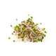 thumbnail image 2 of Germinado de alfalfa San Francisco Cultivos Naturales con kale 200 g, 2 of 4