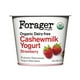 thumbnail image 1 of Alimento fermentado Forager Project Cashewgurt orgánico sabor fresa 150 g, 1 of 3