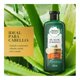 thumbnail image 2 of Shampoo Herbal Essences Bio:Renew 6X aloe & mango protege y repara 400 ml, 2 of 4
