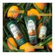 thumbnail image 4 of Shampoo Herbal Essences Bio:Renew 6X aloe & mango protege y repara 400 ml, 4 of 4