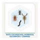 thumbnail image 3 of Insecticida Raid Max mata cucarachas e insectos en aerosol 400 ml, 3 of 4