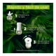 thumbnail image 3 of Aromatizante ambiental Air Wick selva tropical 1 aparato con repuesto de 20 ml, 3 of 4