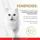 thumbnail image 3 of Alimento para Gato Purina Fancy Feast Petit Filets con Pollo 85 g, 3 of 4