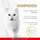 thumbnail image 3 of Alimento para Gato Purina Fancy Feast Casserole con Cordero 85 g, 3 of 4