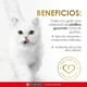 thumbnail image 3 of Alimento para Gato Purina Fancy Feast Goulash con Cordero 85 g, 3 of 4