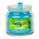 thumbnail image 1 of Vela Aromática Scents for Everyday Lluvia de Jardín 85 g, 1 of 4