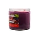 thumbnail image 2 of Vela Aromática Scents For Everyday Frutos Rojos 420 g, 2 of 4