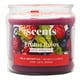 thumbnail image 1 of Vela Aromática Scents For Everyday Frutos Rojos 240 g, 1 of 4