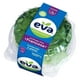 thumbnail image 1 of Lechuga Eva francesa  hidropónica pza, 1 of 1