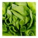 thumbnail image 2 of Lechuga mini francesa Eva hidropónica 2 piezas, 2 of 3