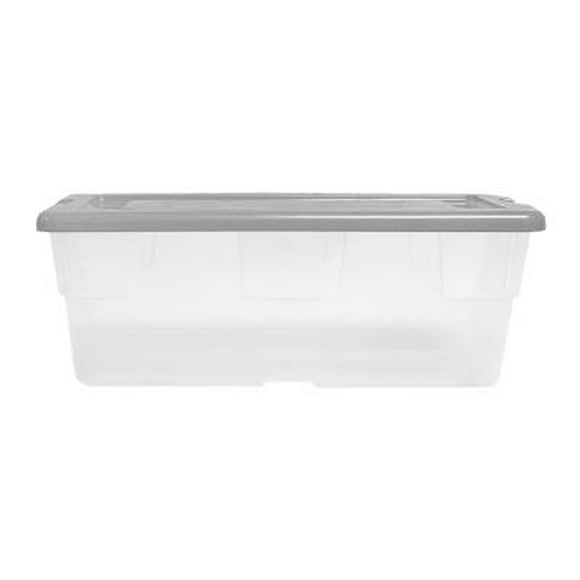 Caja Boris Zapatera con Tapa 6 Litros Gris