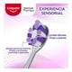 thumbnail image 3 of Cepillo Dental Colgate Encías Therapy Cerdas suaves de alta densidad 2 piezas, 3 of 4