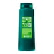 thumbnail image 2 of Shampoo Garnier Fructis probióticos fuerza 650 ml, 2 of 4