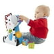thumbnail image 4 of Cebra Fisher Price Bloques de Actividades, 4 of 4